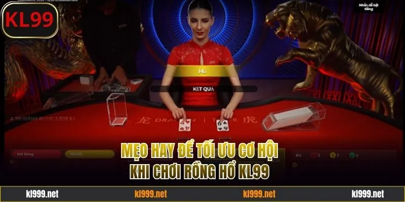Mẹo hay để tối ưu cơ hội khi chơi Rồng Hổ KL99
